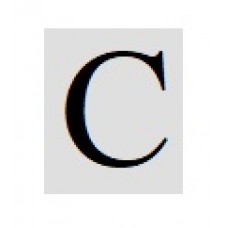 Бусины с буквами серебристые кубики C
